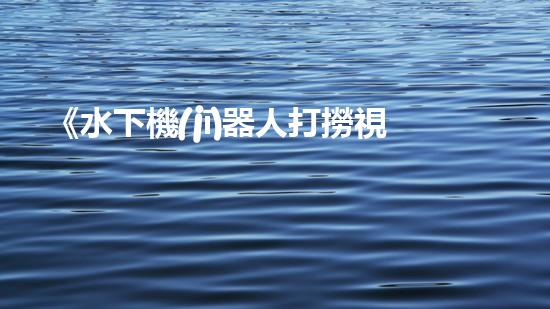 《水下機(jī)器人打撈視頻：揭秘海底寶藏，震撼你的眼球！》